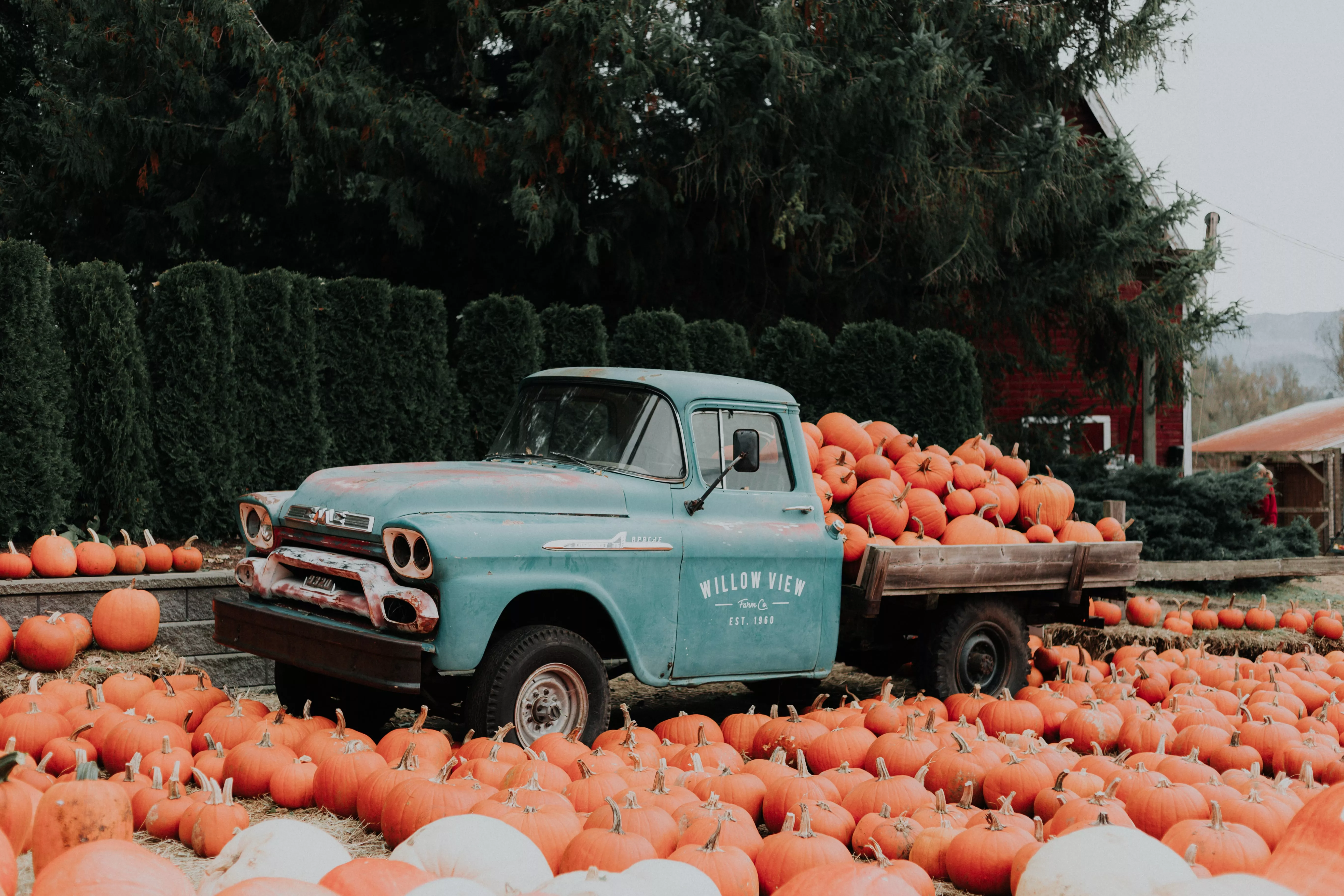 pumpkin truck